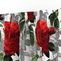 Redoute' Roses ~ Red and Grey