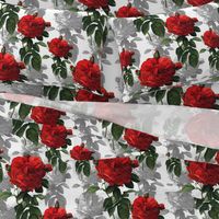 Redoute' Roses ~ Red and Grey