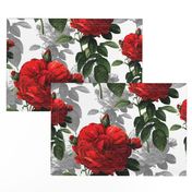 Redoute' Roses ~ Red and Grey