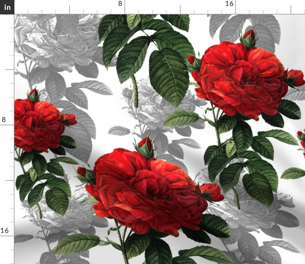 Redoute' Roses ~ Red and Grey