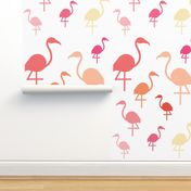 Flamingos in pink / coral / lemon on white 