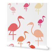 Flamingos in pink / coral / lemon on white 