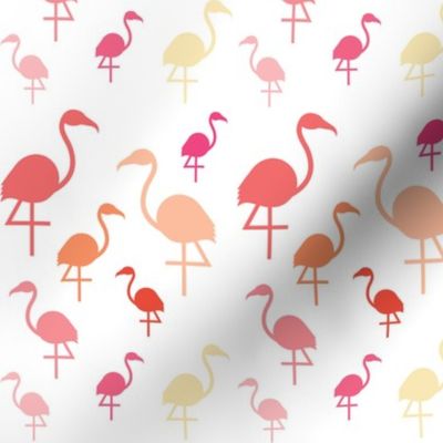 Flamingos in pink / coral / lemon on white 
