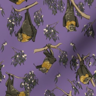 Foraging Flying Foxes GHFF-purple