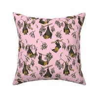 Foraging Flying Foxes GHFF Pastel pink