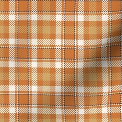 Pumpkin Plaid // Orange