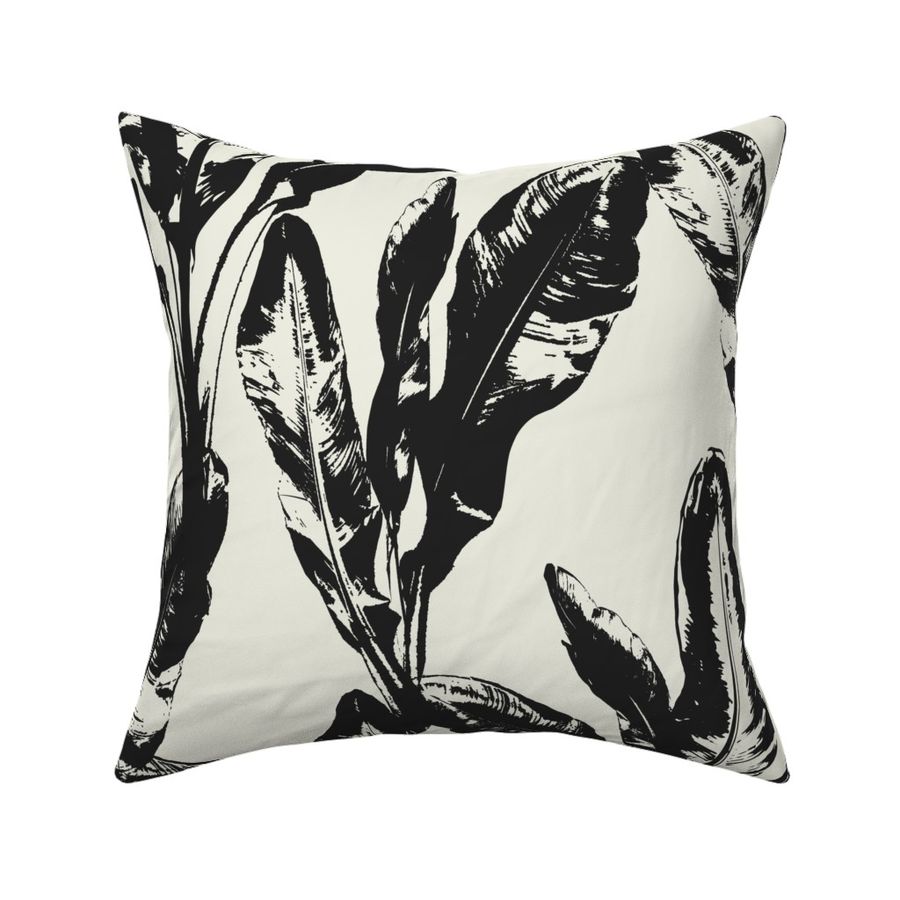 Abyssinian Banana Palms Black - XLarge