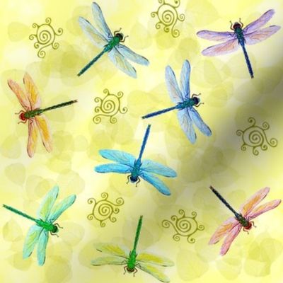 dragonflies - big
