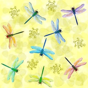 dragonflies - big