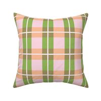 Preppy Plaid - Green Pink and Peach Shades - Medium - Eva Matise