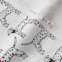 Dalmatians