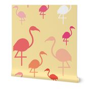 Flamingos on Lemon