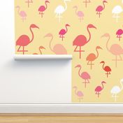 Flamingos on Lemon