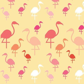 Flamingos on Lemon