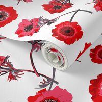 anemones red and white