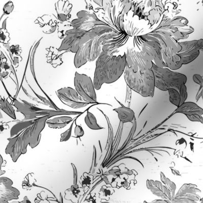 Vintage Peony Floral - Black and White