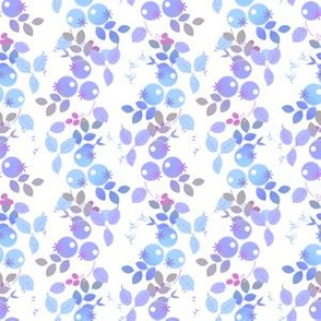 Blueberries in lavender and blue