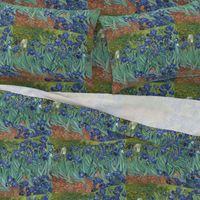 Van Gogh - Irises (1889) (half size)