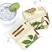 Botanical Spices - 24in