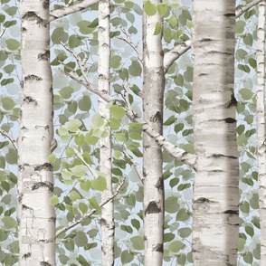 Summer Birches Silver Sky