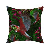 Elegant Tropical Parrot Macaw Rainforest Jungle Birds Exotic Wildlife Art