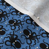 Octopus blue