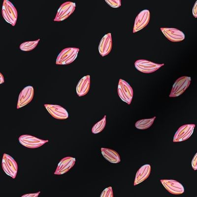 Multicolored flower petals tossed on a soft black background