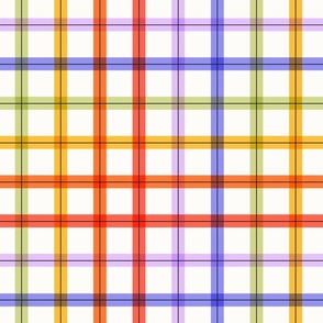 Gingham Colorful