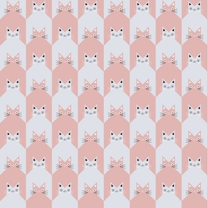 Houndstooth cats coloured pastel