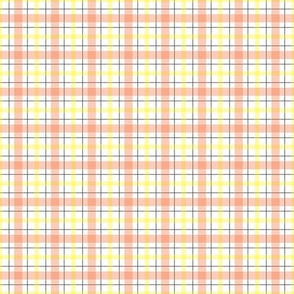 Orange_plaid