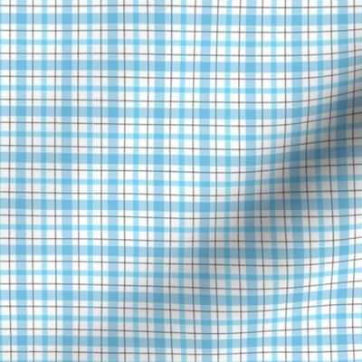 Aqua_Plaid