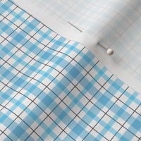 Aqua_Plaid