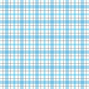 Aqua_Plaid