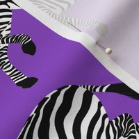 Zebra walking 15 Deep Lilac