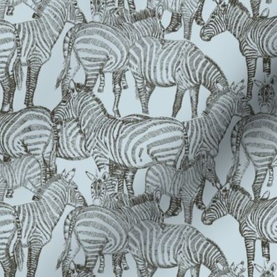 A DAZZLE OF ZEBRAS