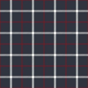 (M) Tattersall Plaid dark gray Medium scale