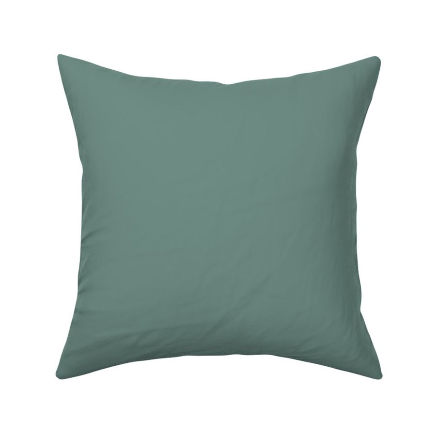 New Farmhouse Green with Cool Gray Tint Solid Color Peaceful Calm