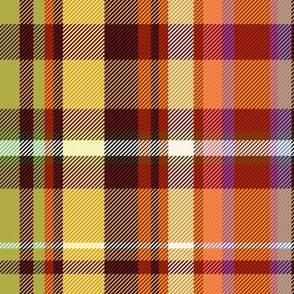 Colorful Plaid