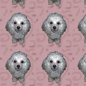 poodle_doodle