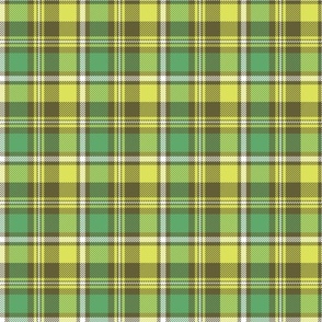 Preppy Green Plaid