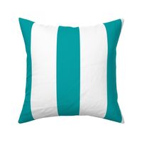 Cabana Stripe Turquoise