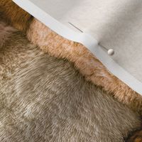 Large Amber and Ivory Faux Fur Patchwork Fabric - Luxurious Plush Texture