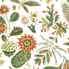 Antique Floral 1794 France in Spice