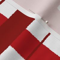 Timeless plaid / ikat Rouge