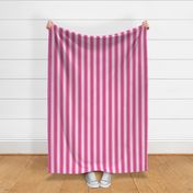 Ticking Stripe (Medium) - White on Rose Pink