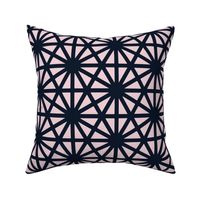 Hex Web in Navy And Pink