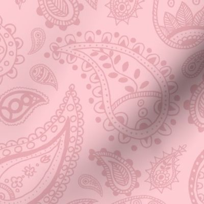 Pink on pink paisley