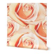 Romantic Roses ~ Pale ~ Medium