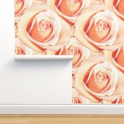 Romantic Roses ~ Pale ~ Medium