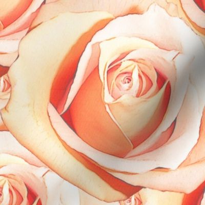 Romantic Roses ~ Pale ~ Medium